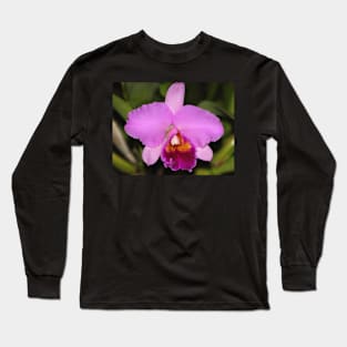 Cattleya Orchid Long Sleeve T-Shirt